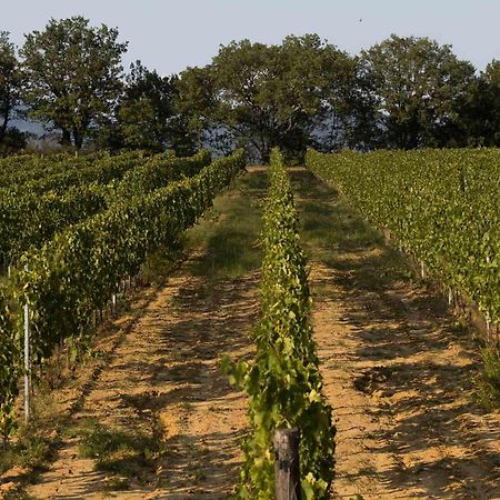 Agriturismo Le Baccane Vinci Buitenkant foto