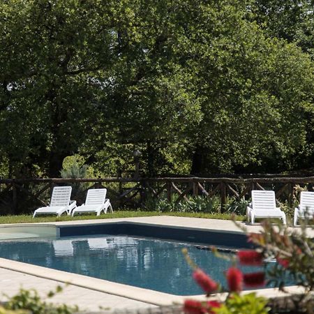 Agriturismo Le Baccane Vinci Buitenkant foto