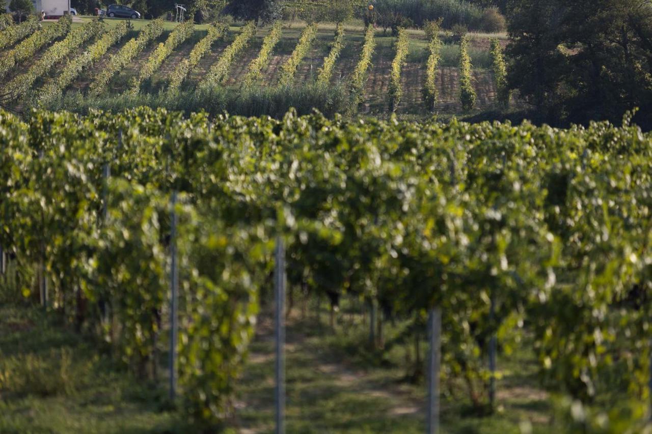 Agriturismo Le Baccane Vinci Buitenkant foto