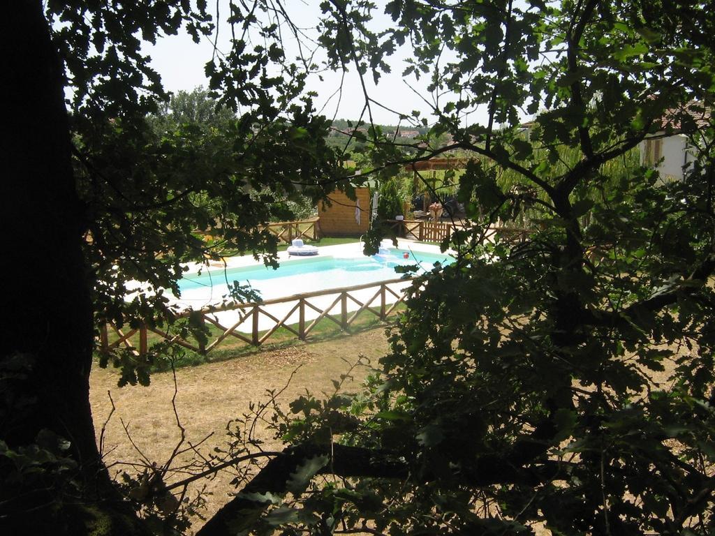 Agriturismo Le Baccane Vinci Buitenkant foto