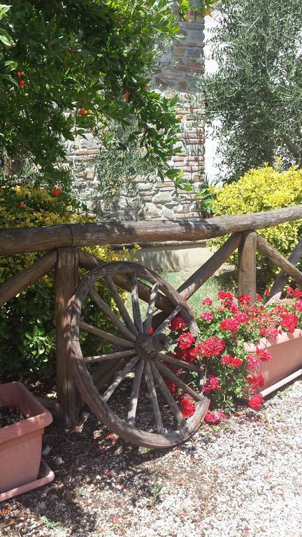 Agriturismo Le Baccane Vinci Buitenkant foto